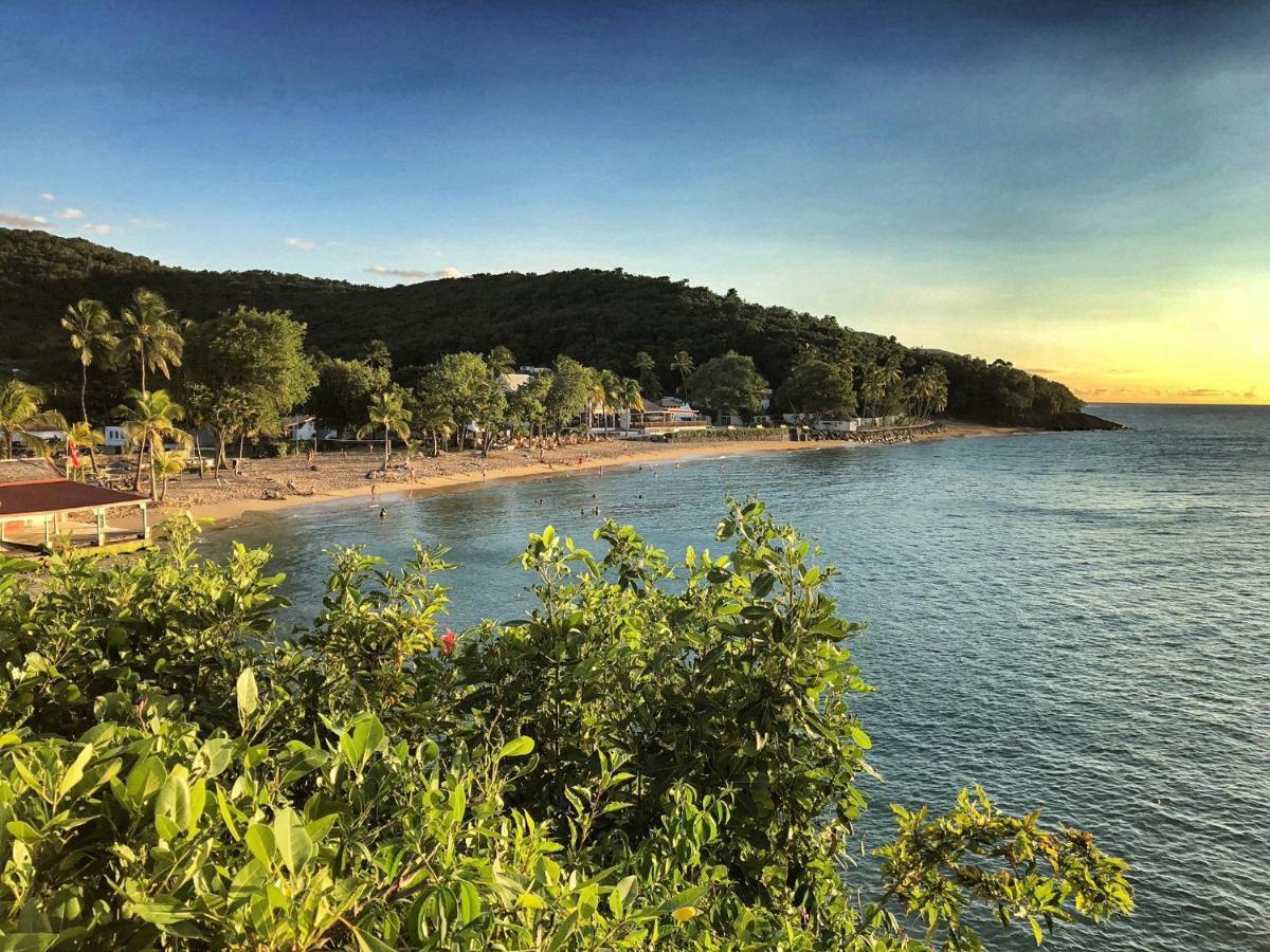 Case Coco Pointe Batterie. Piscine, Vue Mer, 4 P. Deshaies Exterior foto